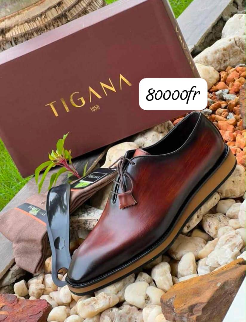 TIGANA Lamarque anglais